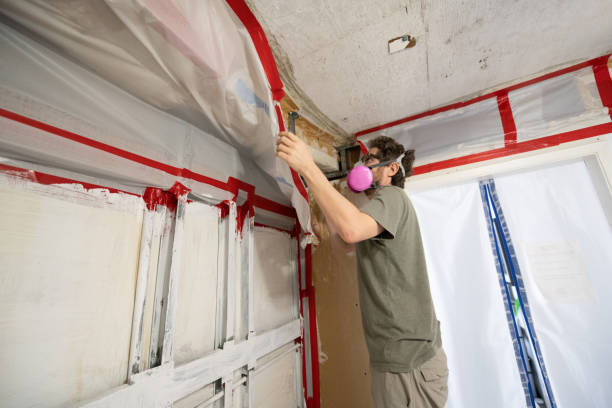 Best Mold Prevention Services  in Glendive, MT