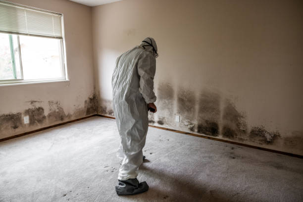 Best Airborne Mold Testing  in Glendive, MT
